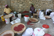 HAITI: Mirebalais Market