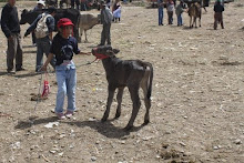 PERU: April 12-24th, 2010