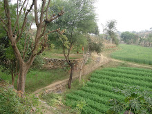 INDIA: DWC Inaugural trip to India - March 2009