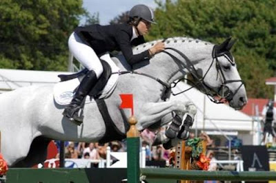 Horse Of The Year Show Fantastic Photos