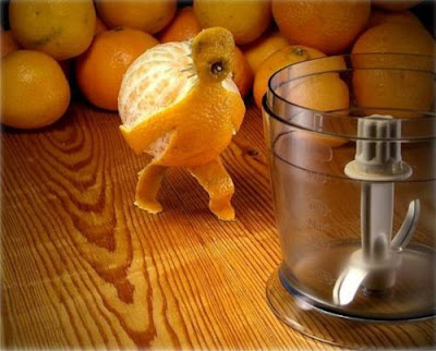 Funny photo ,food funny photo