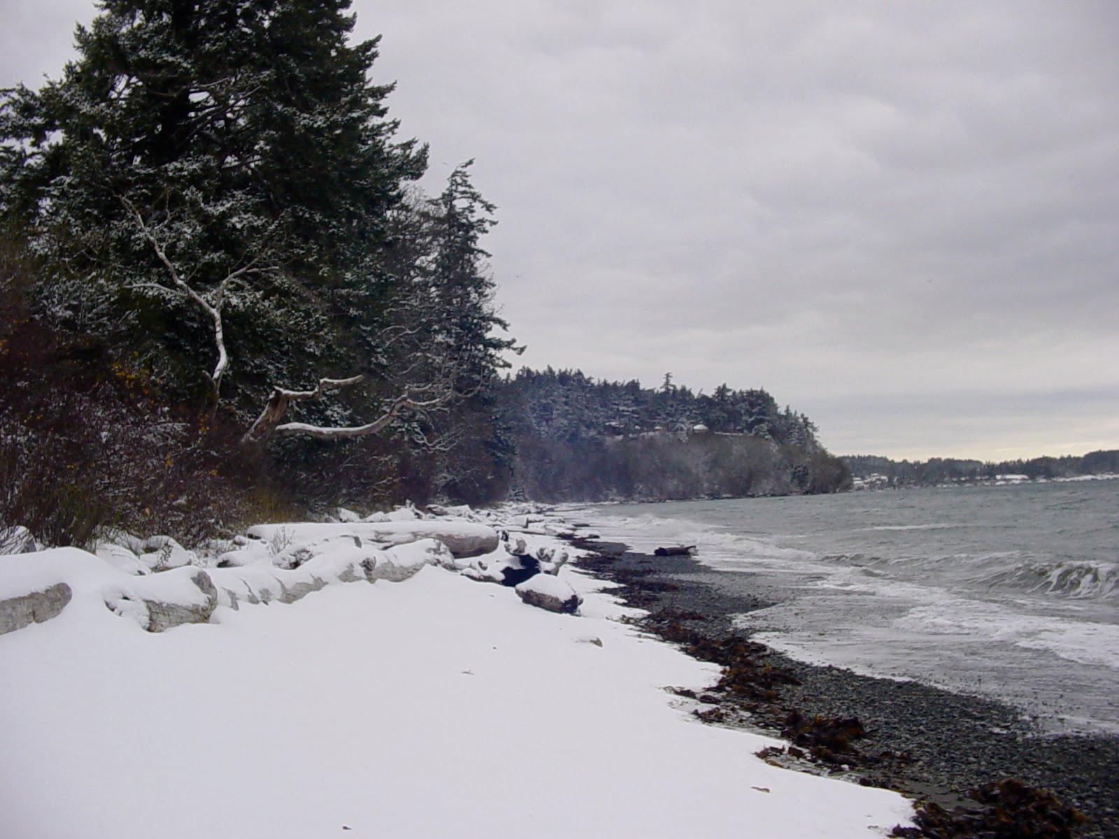 [DSC05924.JPG]