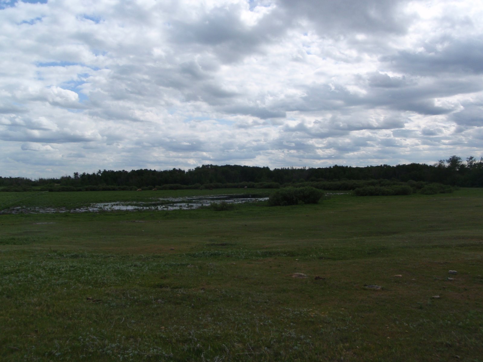 [P7100220.JPG]