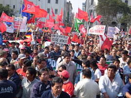 MANIFESTACION NACIONAL POR SELVATICOS