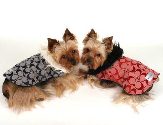 Coach For Dogs Collar Sale Coach For Dogs Collar Sale