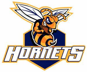 New Orleans Hornets  Hornets+logo