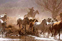 [river+crossing.jpg]