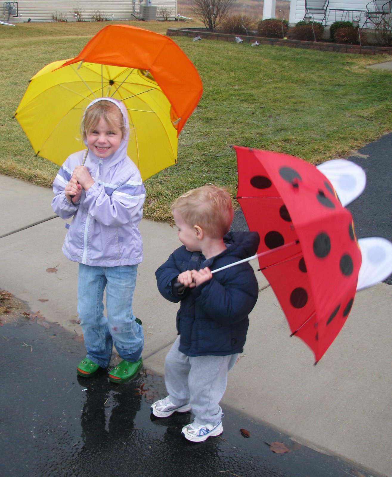 [puddles+017.JPG]