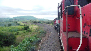 Riding Trains and Drinking Tequila in….Tequila!
