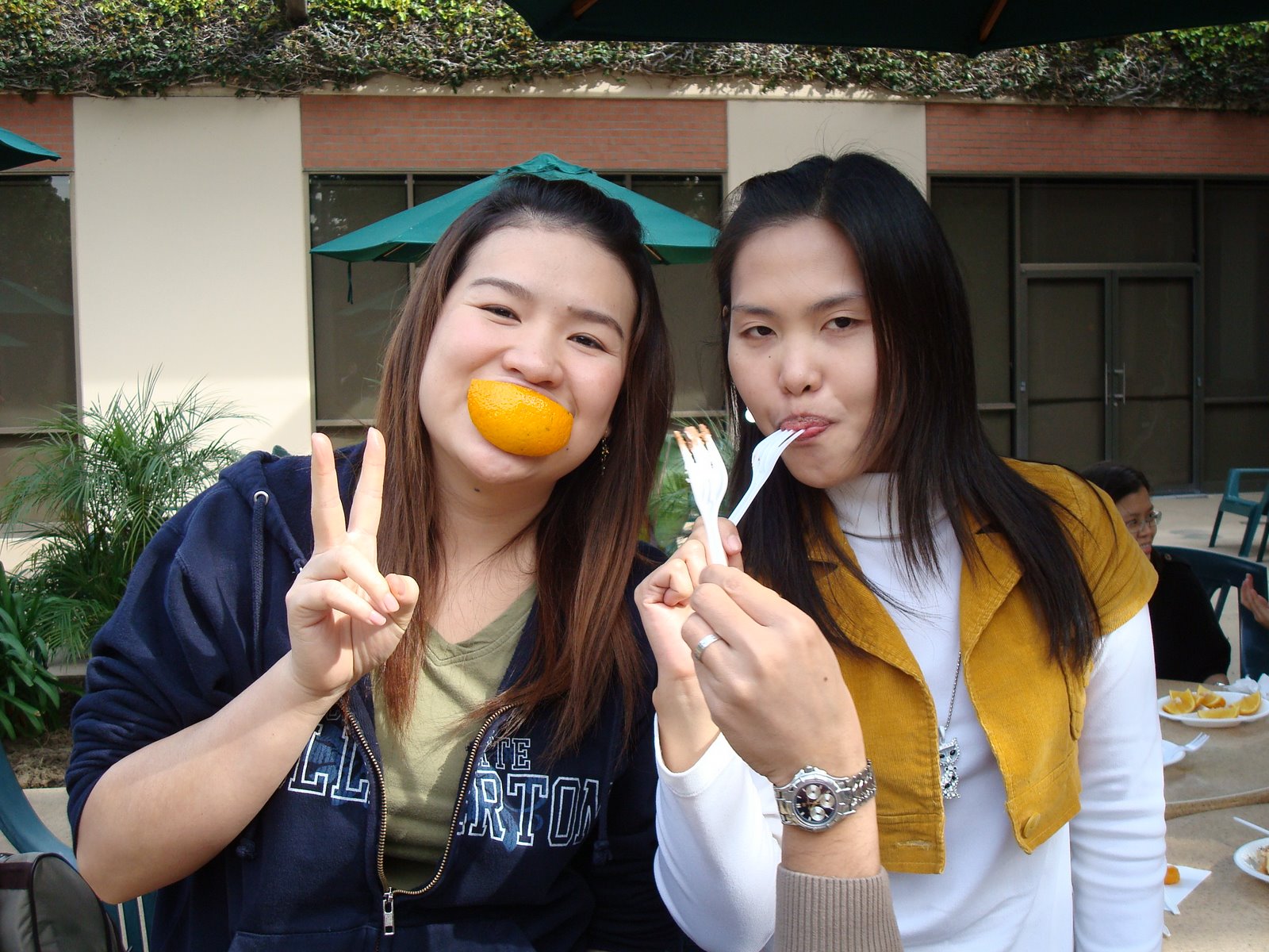 [DSC00985.JPG]
