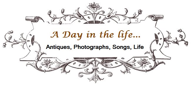 A day in the Life...