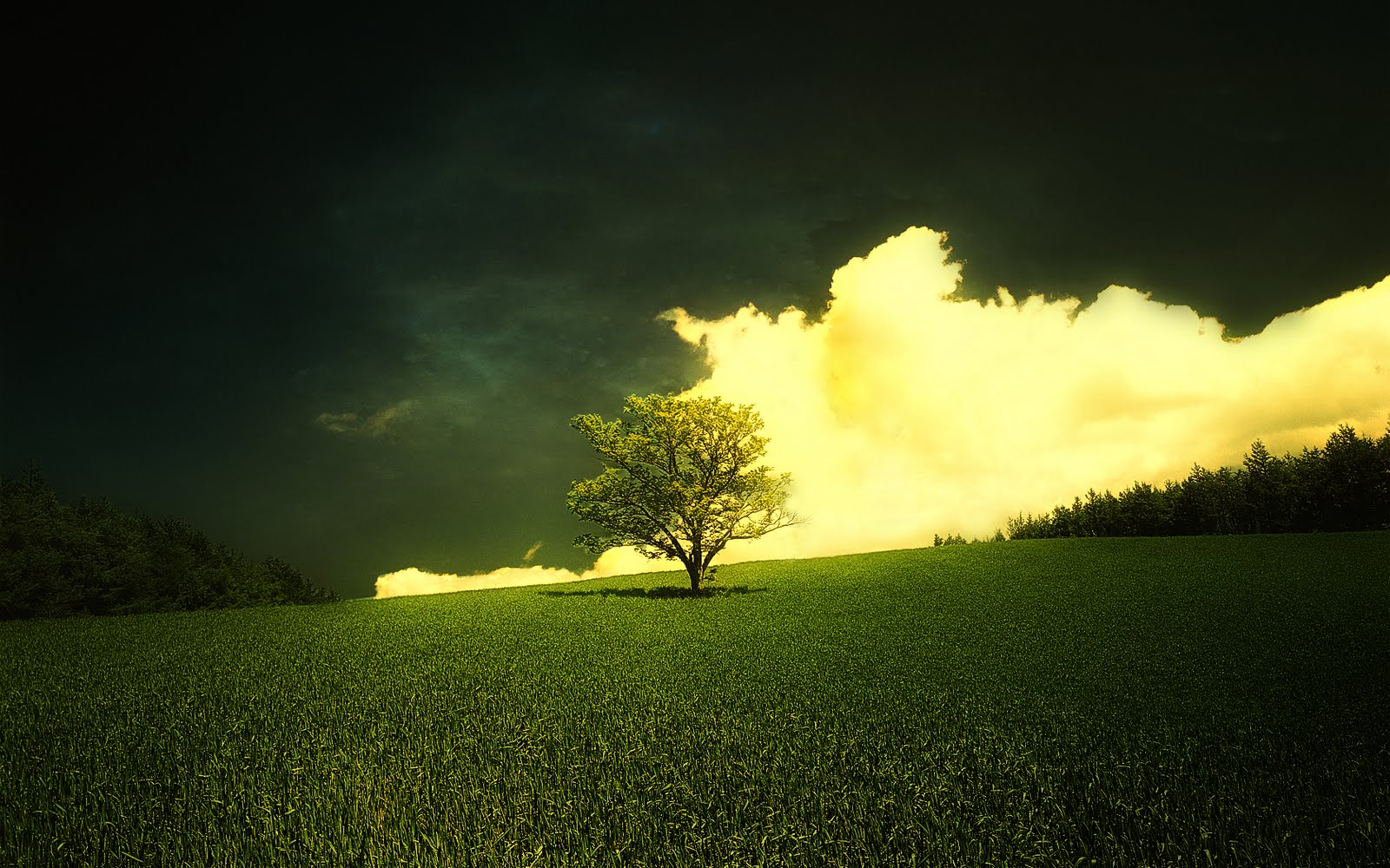http://4.bp.blogspot.com/_Kpi0thIqeJI/TMGvHrbmOuI/AAAAAAAAAJ4/H_i4gk6X_lI/s1600/httpfreehd.blogspot+(10).jpg