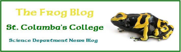 The Frog Blog - SCC Science Department