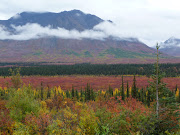 Fall colors along the Parks Hwy~Sept. 2, 2009