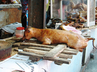 roast+dog+1.jpg
