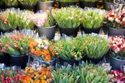 [iStock_000005570413XSmall.jpg]