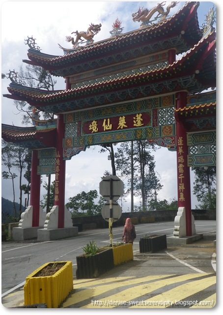 the story of lim goh tong