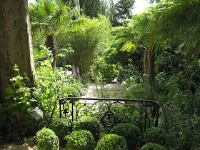 Jardin Agapanthe En Normandie