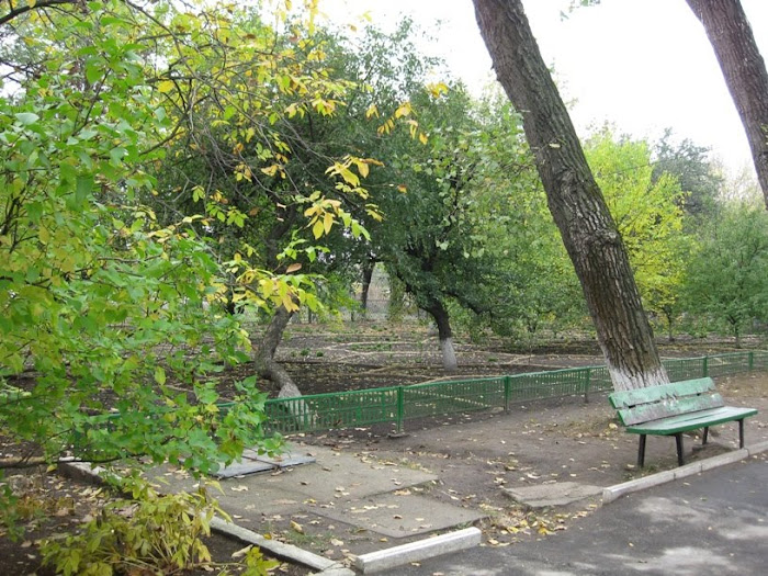 Garden in Honour of Mothers