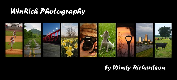 Windy Richardson Photography