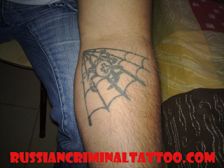 russian+criminal+tattoo+spider