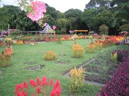 http://4.bp.blogspot.com/_Kt_v0ny3vbc/TLp6w-kEvHI/AAAAAAAAAH8/CzLAmv8jFTQ/s320/bougenville.jpg