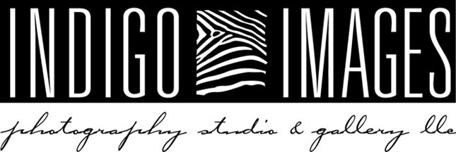 Indigo Images Photography Studio and Gallery LLC