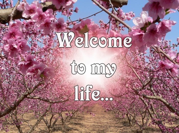 My life is mine