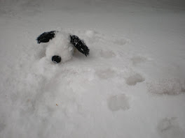 Snoops in the Snow!
