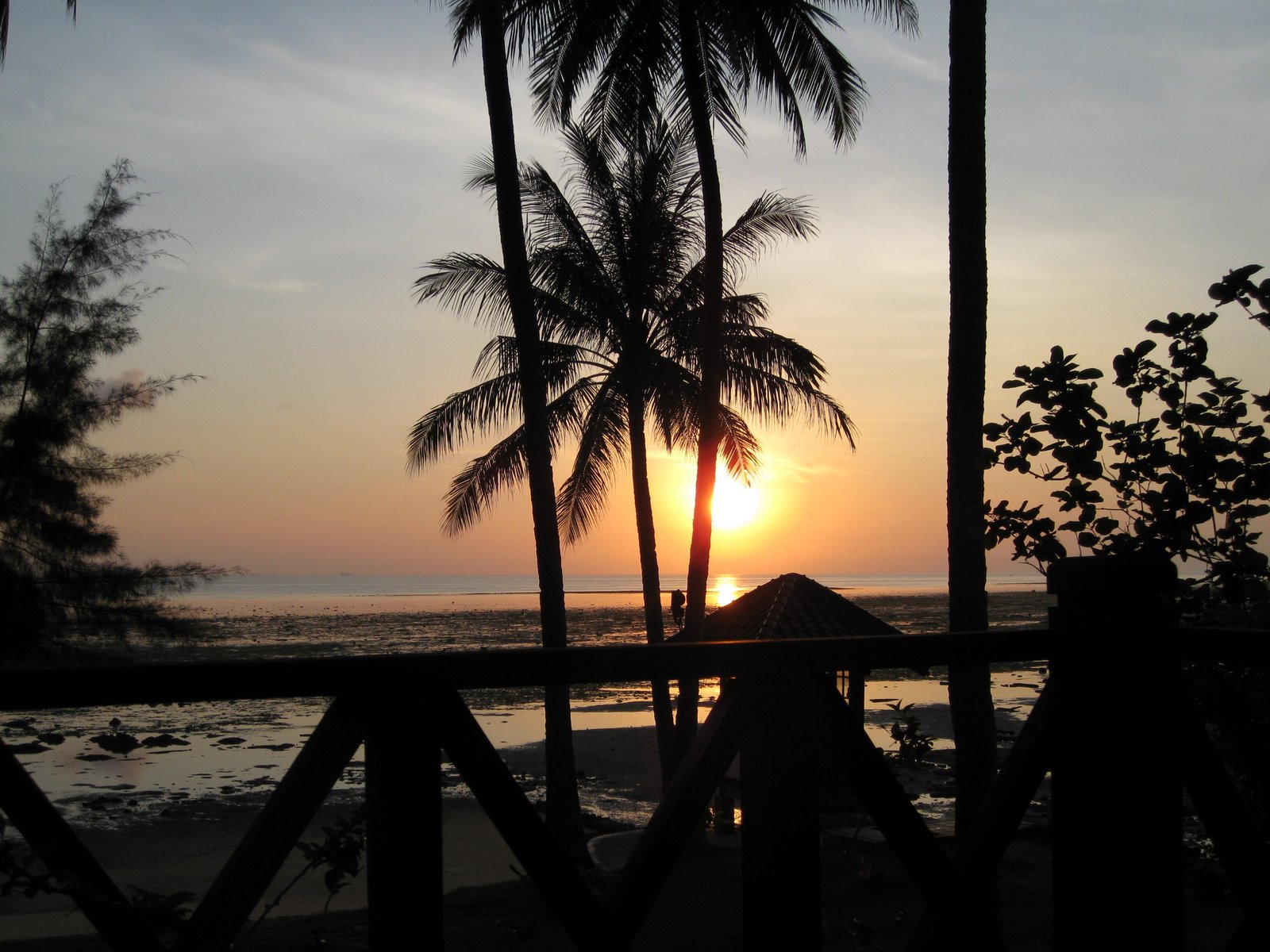 [IMG_2615.JPG]