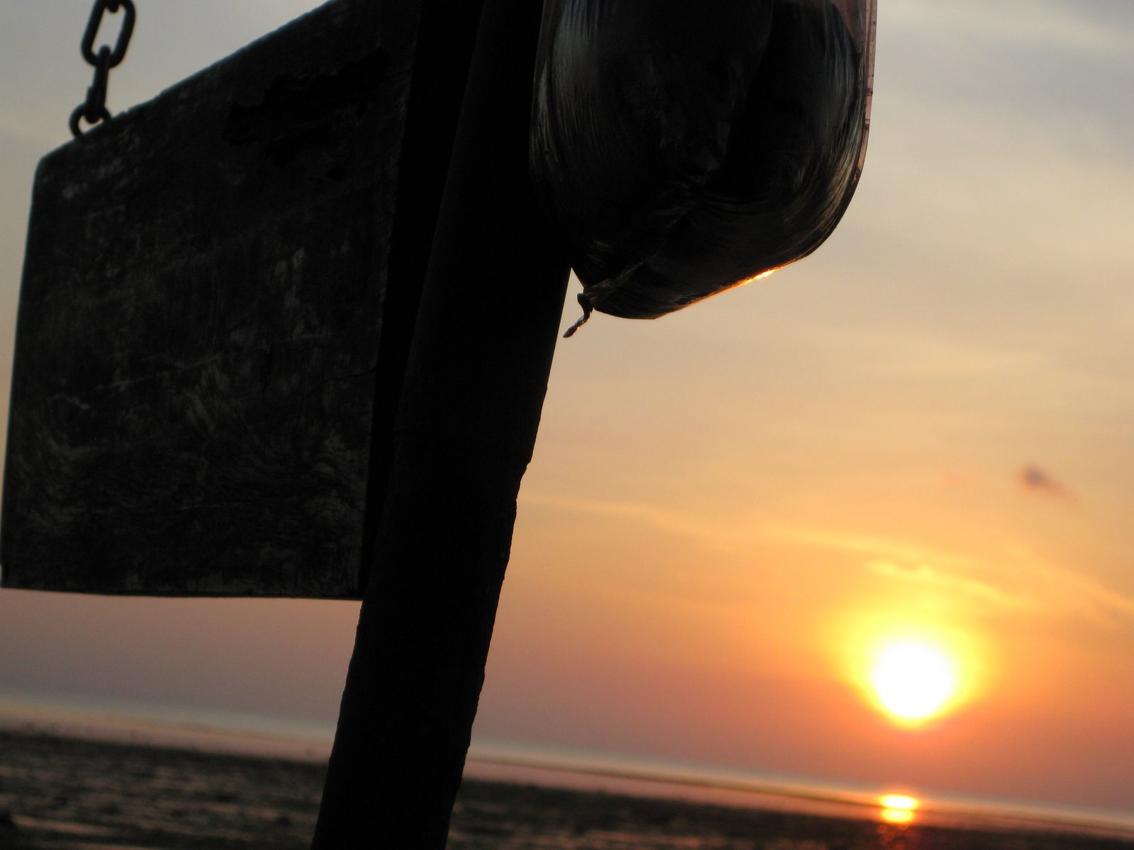 [IMG_2608.JPG]