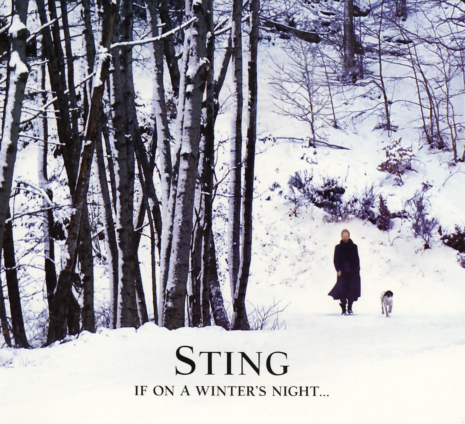 Sting Winter