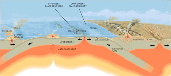 Convergent and divergent plates