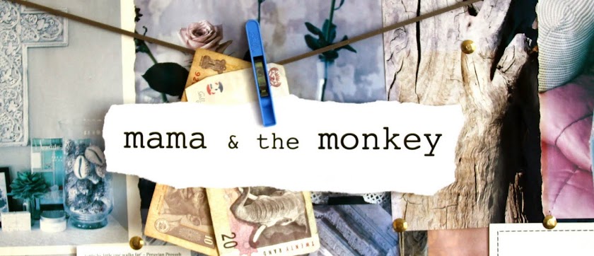Mama & The Monkey