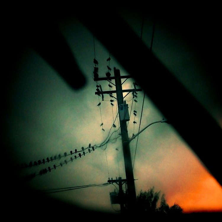 [49c831cbd-1c23-4fc1-a37a-efbeaec37533.jpg]