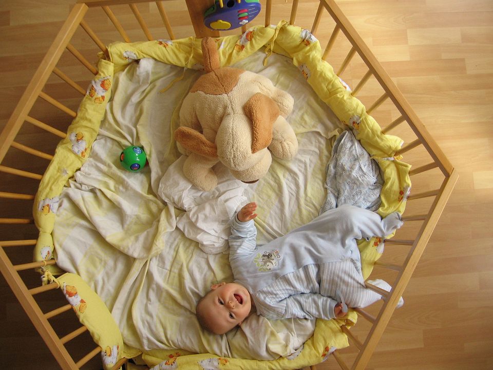 [IMG_1527a.jpg]