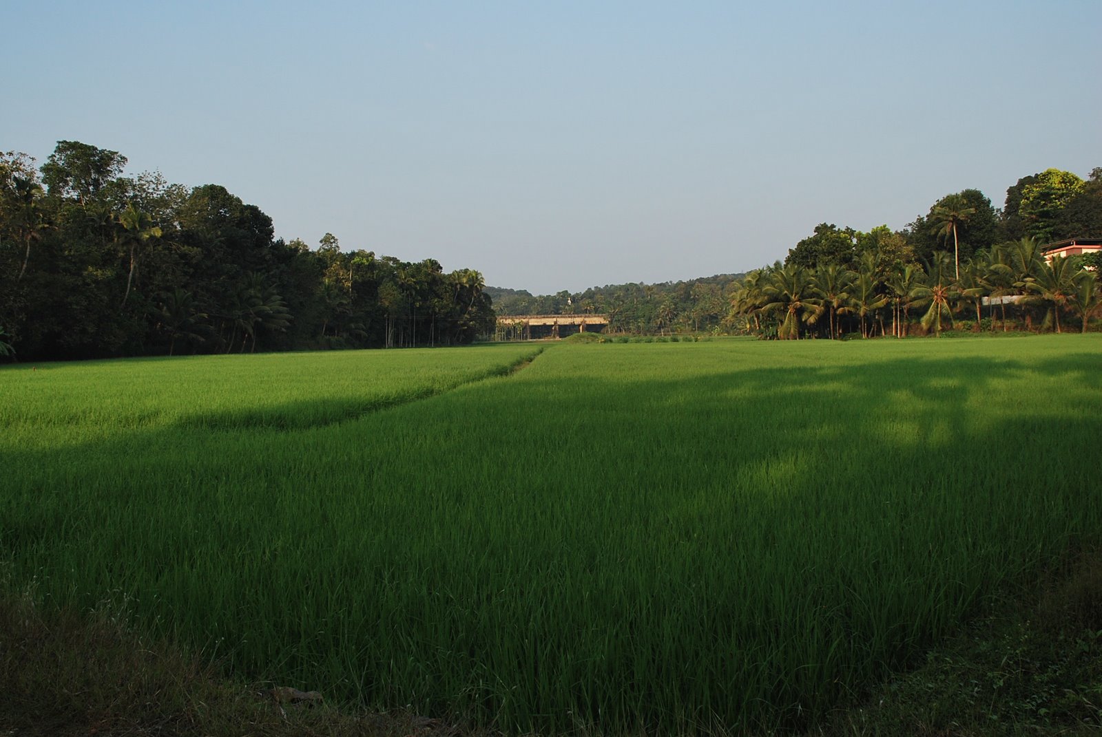 [Picture+080.jpg]
