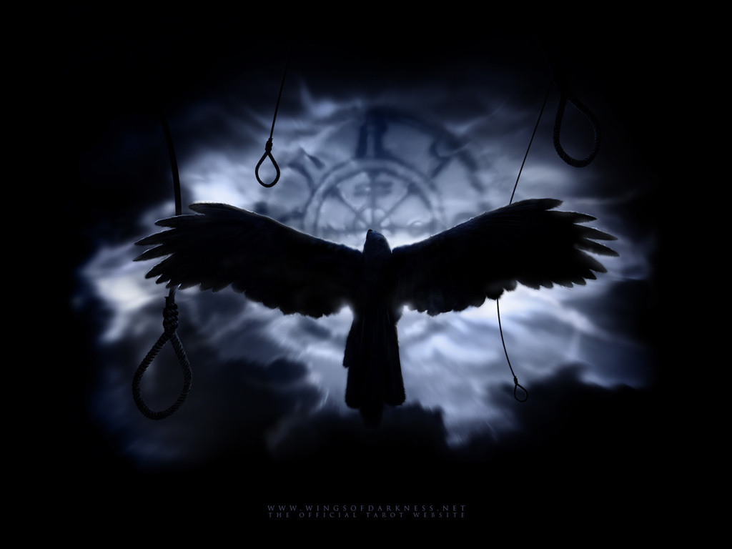 dark-crow-black-image.jpg