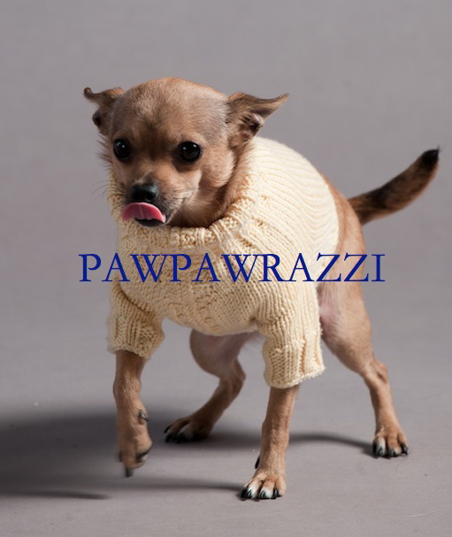 Pawpawrazzi