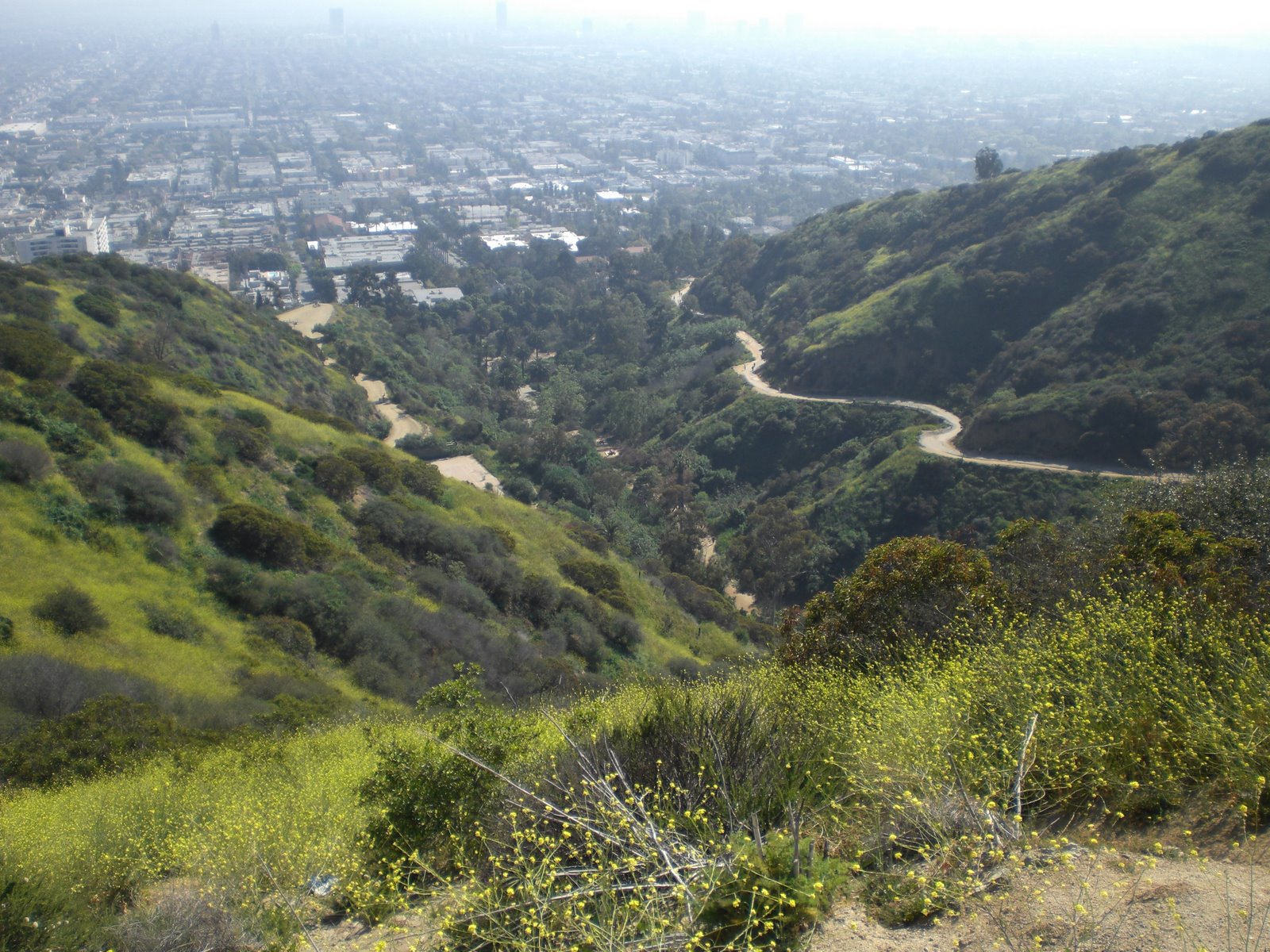[Runyonpath3.JPG]