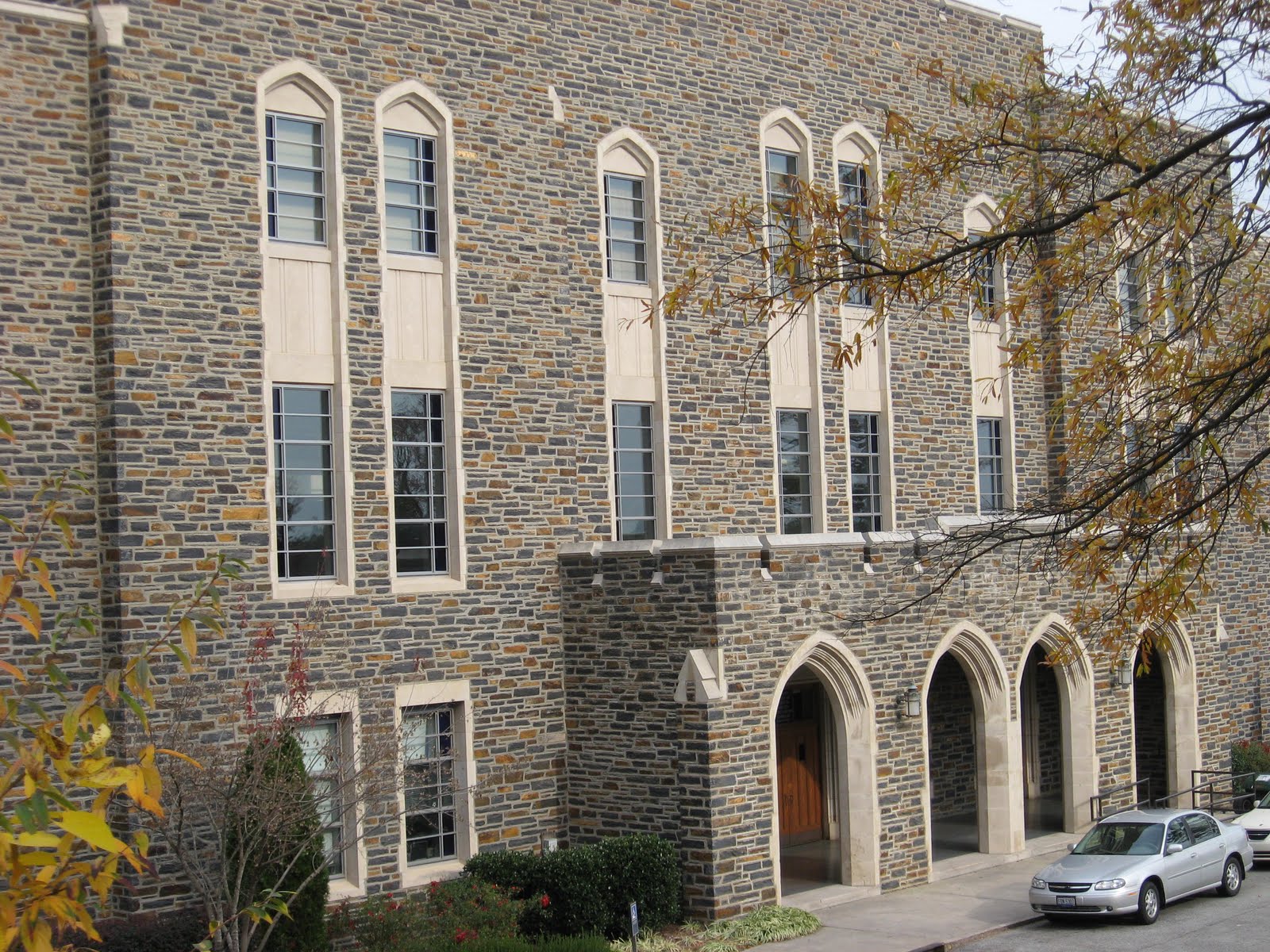 Touch of Green Charlotte 49ers Athletics Photo Blog from