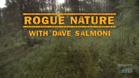 Discovery.Rogue.Nature 6-hd