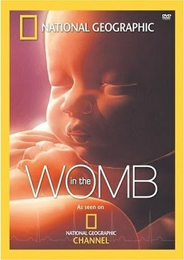 NG in the womb - DVD