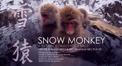 Natural.World Snow.Monkeys - HD