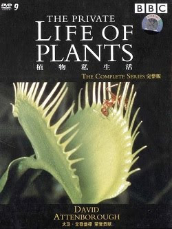 The Private Life of Plants - DVD