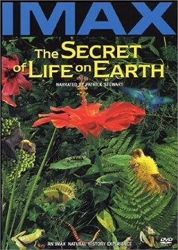 the SECRET of LIFE on EARTH - HD