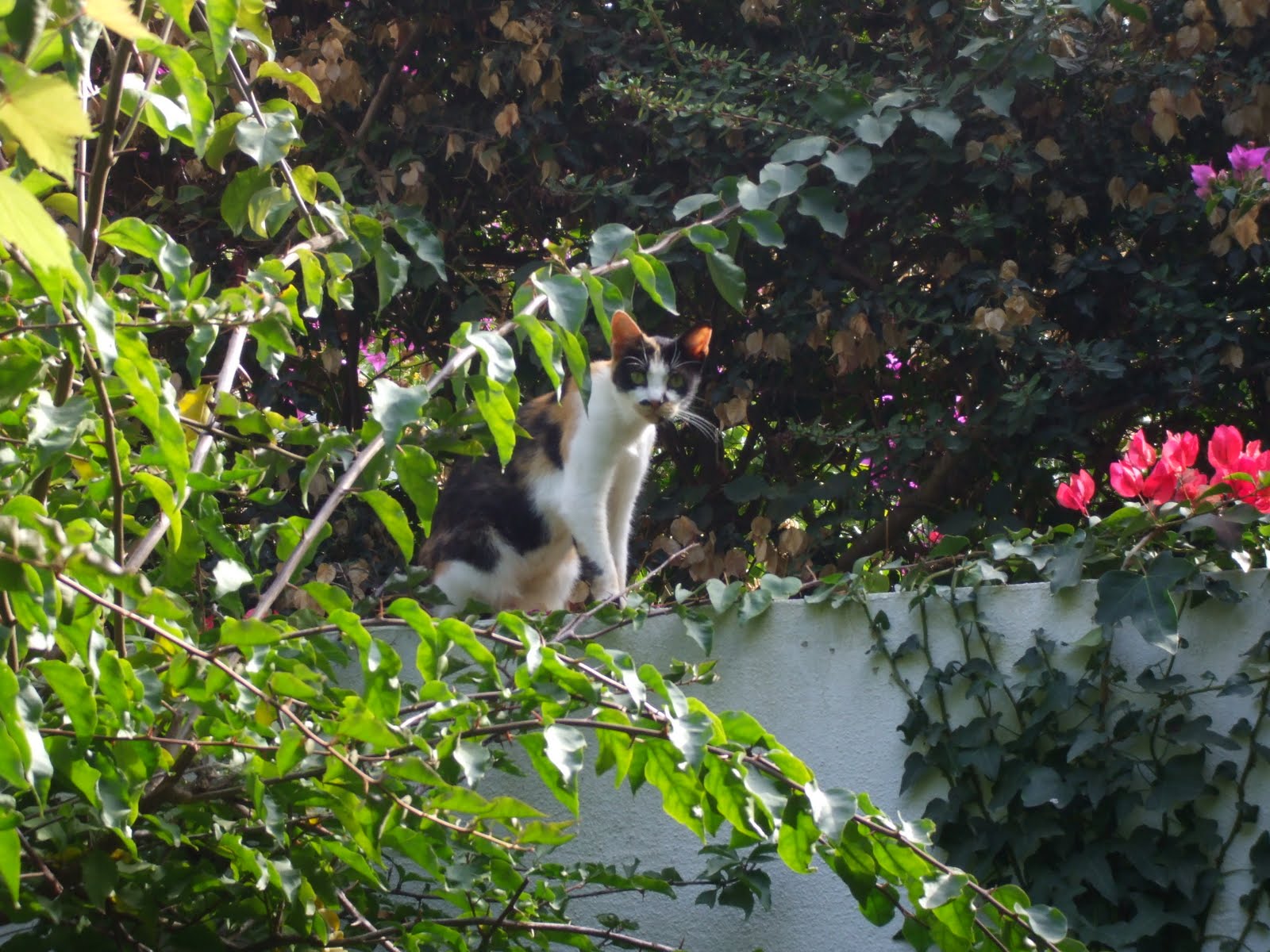 [DSCF0318.JPG]