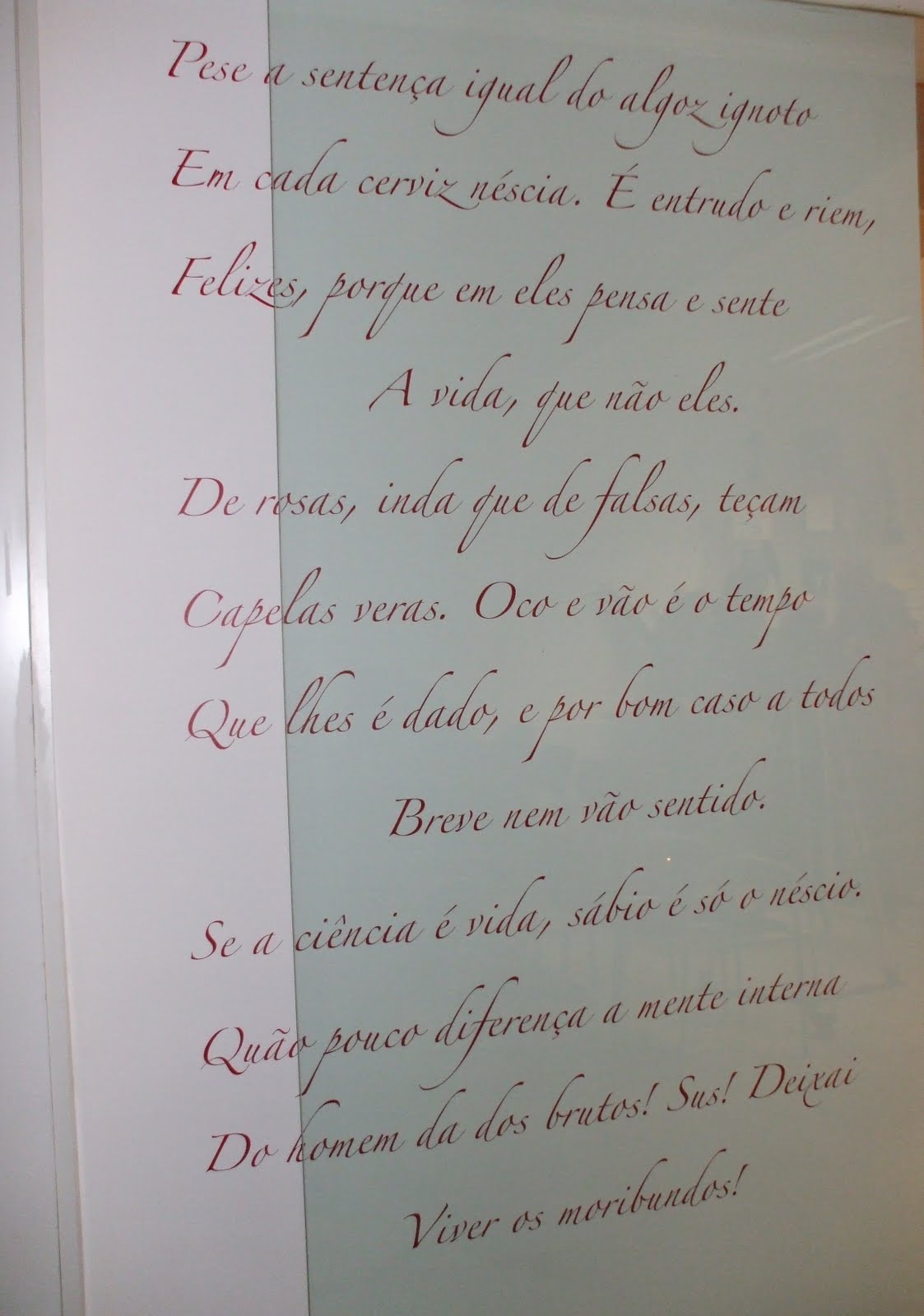[DSCF0286.JPG]