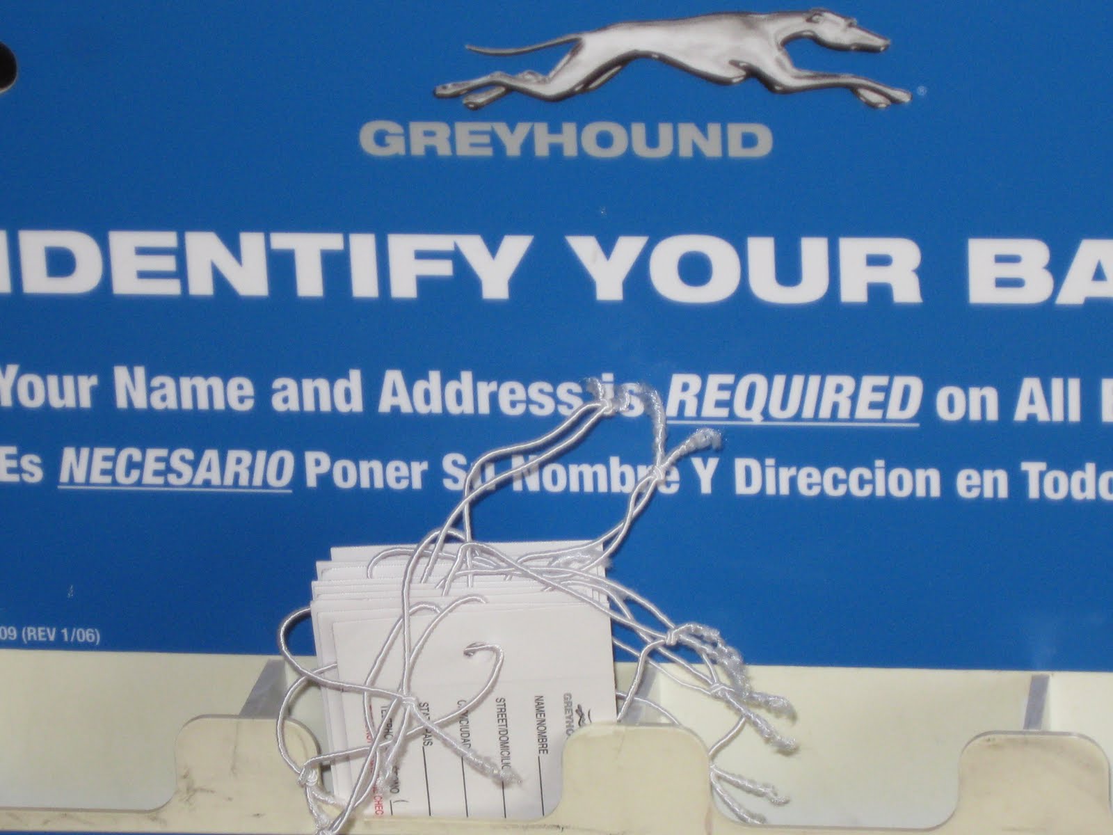 [Greyhound.jpg]