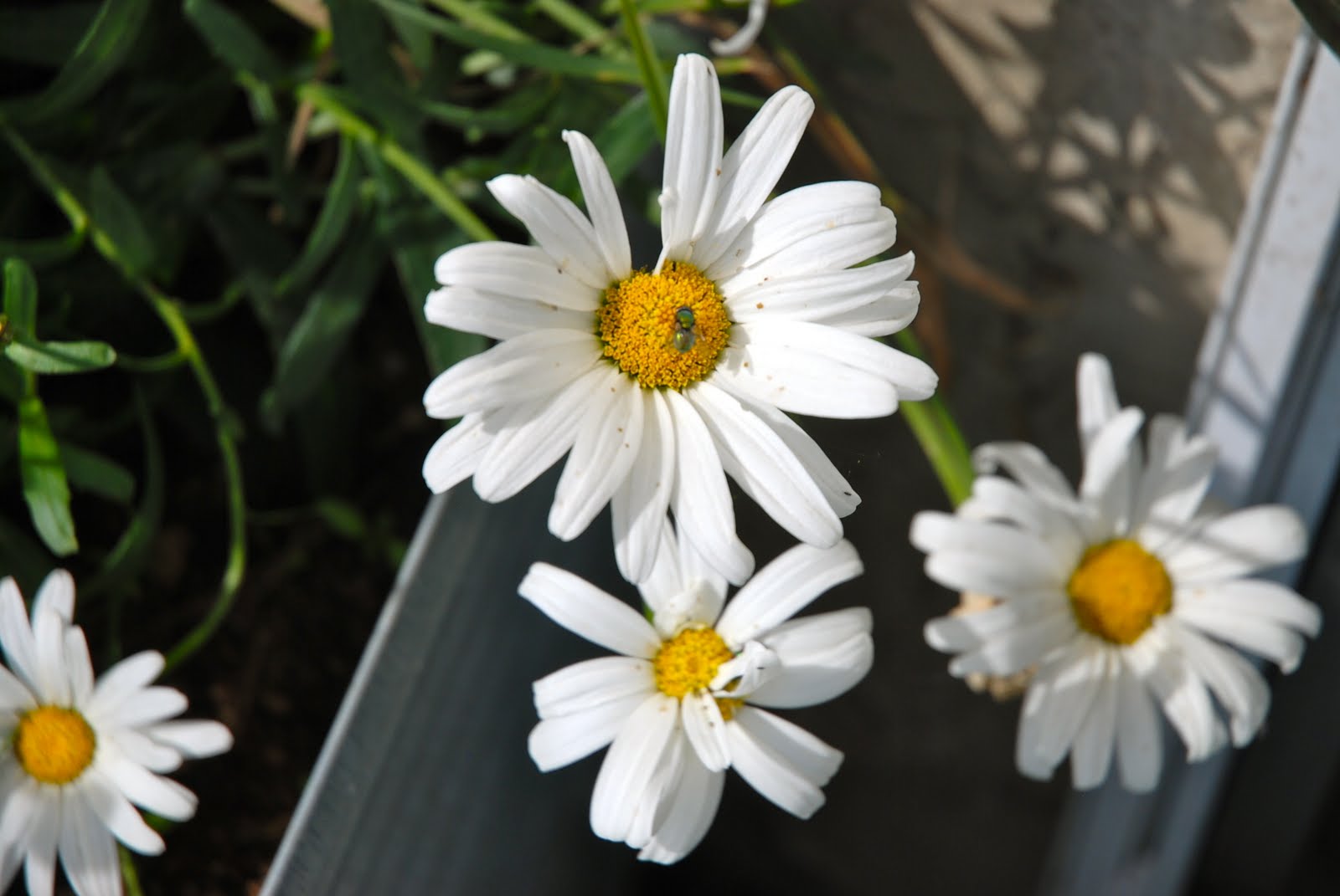 [DSC_5377.JPG]